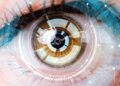 Crean ojo artificial capaz de imitar el funcionamiento humano