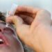 IMSS recomienda usar gotas para los ojos para eliminar presencia de COVID19