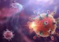 OMS enviará un equipo a China para investigar orígenes del Covid-19