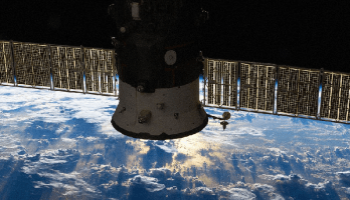 Satélites rusos Bion,  la vanguardia en investigación de biología espacial