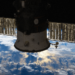 Satélites rusos Bion,  la vanguardia en investigación de biología espacial