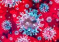 Coronavirus México hoy 26 de junio