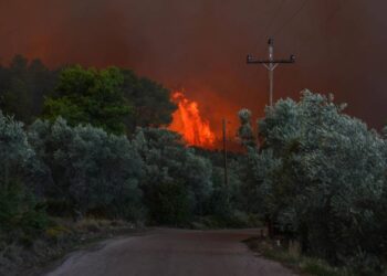 Evacuan a cientos en Grecia por incendio forestal