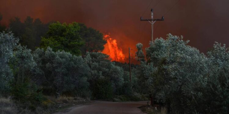 Evacuan a cientos en Grecia por incendio forestal