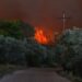 Evacuan a cientos en Grecia por incendio forestal