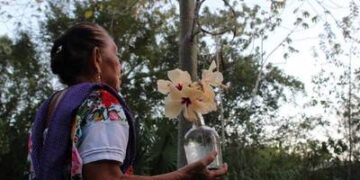 Enfermos de COVID-19  mayas evitan hospitales y usan medicina tradicional