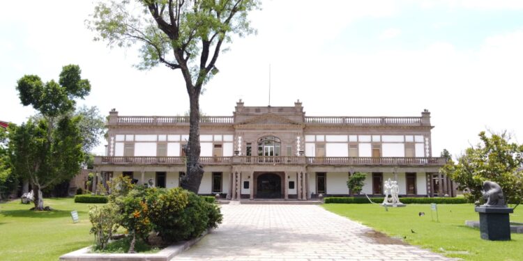 “Mañana de té” en el Museo Francisco Cossío