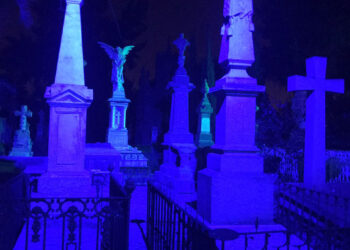 Conferencias virtuales sobre el histórico Cementerio del Saucito