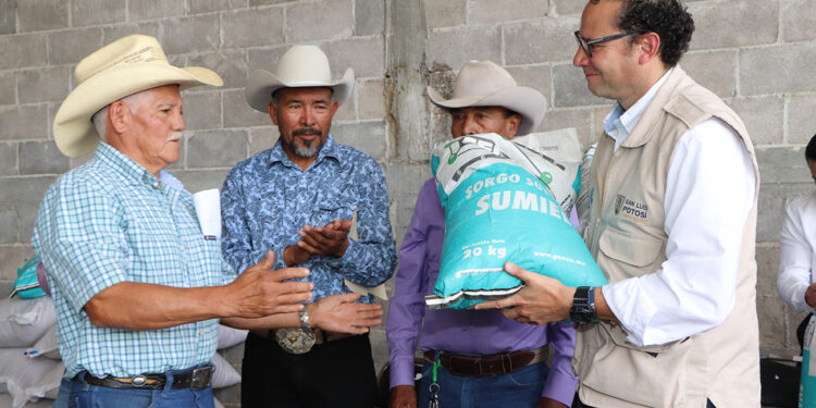 Nuevos apoyos a productores agrícolas del municipio