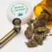 Marihuana y Parkinson: ¿un tratamiento efectivo contra los síntomas?