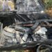 Tropas militares aseguran armas y cartuchos en Salinas de Hidalgo, S.L.P.