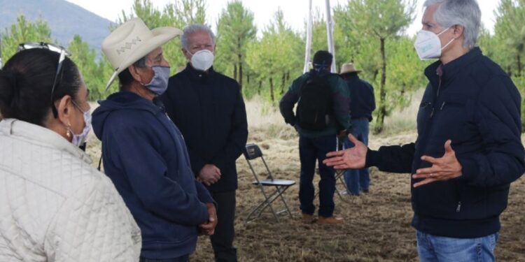 Alfredo Del Mazo entrega apoyos forestales para mitigar efectos económicos del covid-19 en Edomex