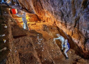 Hallazgo sugiere que humanos habitaron América hace 30, 000 años