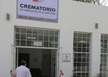 Miguel Hidalgo en CDMX abre un crematorio público para mascotas
