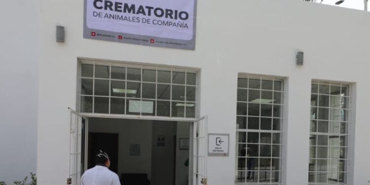 Miguel Hidalgo en CDMX abre un crematorio público para mascotas