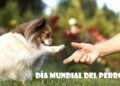 21 de julio, Día Mundial del Perro