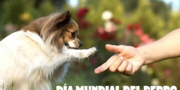 21 de julio, Día Mundial del Perro