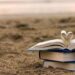 ¿Por qué leer es un lugar al que todavía podemos ir?