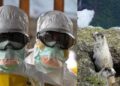 China informa primer caso de PESTE bubónica, se eleva nivel de alerta en Mongolia