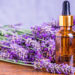 5 plantas que contribuyen a calmar la ansiedad