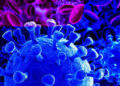 Coronavirus en México y el mundo hoy 12 de julio