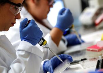 Suman 17 vacunas como candidatas para combatir COVID-19, anuncia la OMS