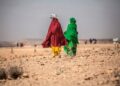 Prevén que 57.6 millones de africanos padezcan hambre por covid-19