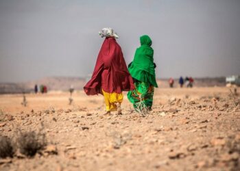 Prevén que 57.6 millones de africanos padezcan hambre por covid-19