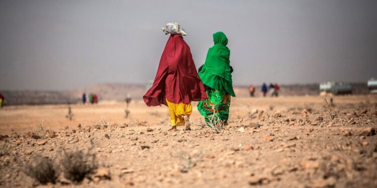 Prevén que 57.6 millones de africanos padezcan hambre por covid-19