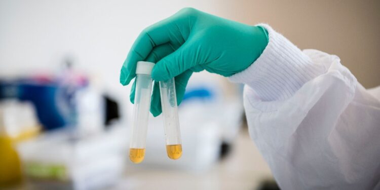 Mexicanos en Suiza reciben apoyo para desarrollar medicamento contra covid-19
