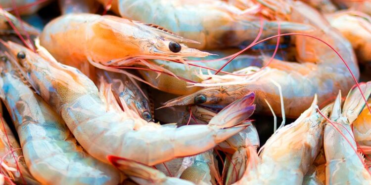 China suspende importación de camarón proveniente de Ecuador