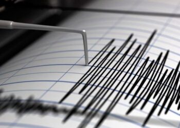 Sismo de 4.8 en costas de Guerrero