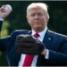Presidente del Bronx critica a los Yankees por invitar a Trump a lanzar la primera bola