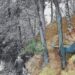 Encuentran el lugar exacto que inspiró la última obra de Van Gogh