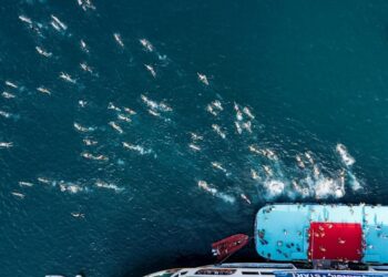 Miles de personas nadan en tradicional carrera para cruzar de Asia a Europa