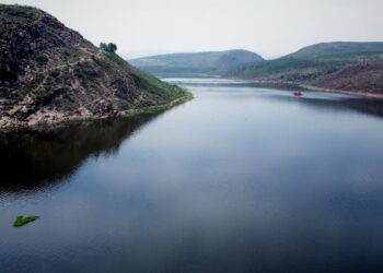 Adiós al lirio de La Presa de San José
