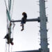 Inicia cambio de vías y cableado de alta tensión en Puente Pemex