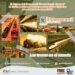 El Ferrocarril a través del tiempo