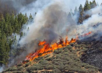 Evacúan a más de 3 mil personas por incendio en España