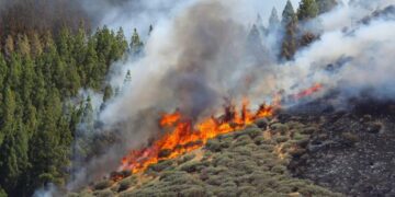 Evacúan a más de 3 mil personas por incendio en España