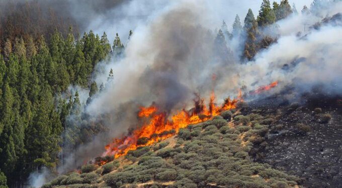 Evacúan a más de 3 mil personas por incendio en España