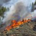 Evacúan a más de 3 mil personas por incendio en España