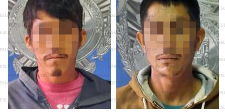 Dos detenidos por lesionar a una persona en Villa de Reyes