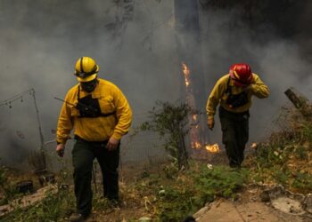 Incendios en California dejan 6 muertos y más de 200 mil personas evacuadas