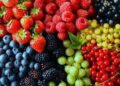 Guía práctica para aprender a conservar las frutas