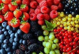 Guía práctica para aprender a conservar las frutas