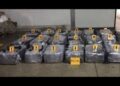 Decomisan entre piñas 1 tonelada de cocaína en Costa Rica