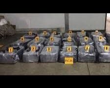 Decomisan entre piñas 1 tonelada de cocaína en Costa Rica