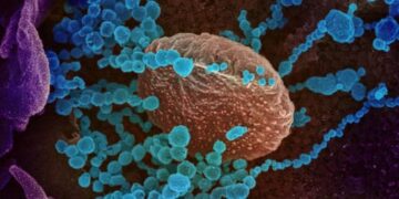 Equipo lidereado por científica mexicana descubre cómo bloquear el virus SARS-CoV-2
