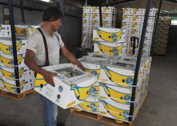 AMLO resalta creación de 10 mil empleos en México en primeros 5 días de agosto